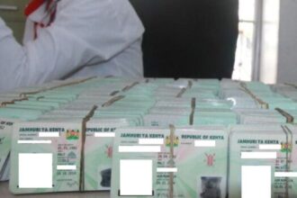 Kenya Scraps ID Application Fees in Move to Enhance Accessibility