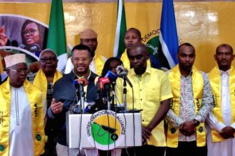 UDA elections grassroots elections Kenyan politics