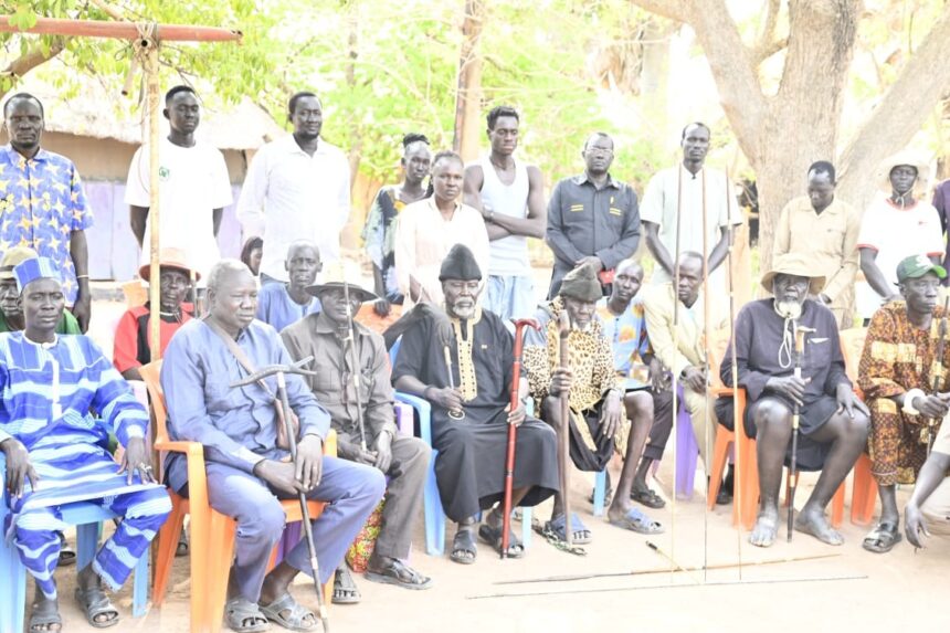 A large group of men and women gathered outdoors for a formal meeting, seated in orange and blue chairs under a tree with traditional staffs.